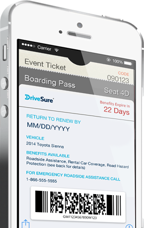 4 Ways You Can Benefit from the DriveSure Pass